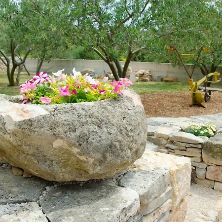 公寓 Filip 布罗达里卡