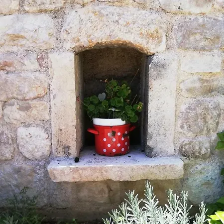 Apartment Filip Brodarica (Sibenik-Knin)