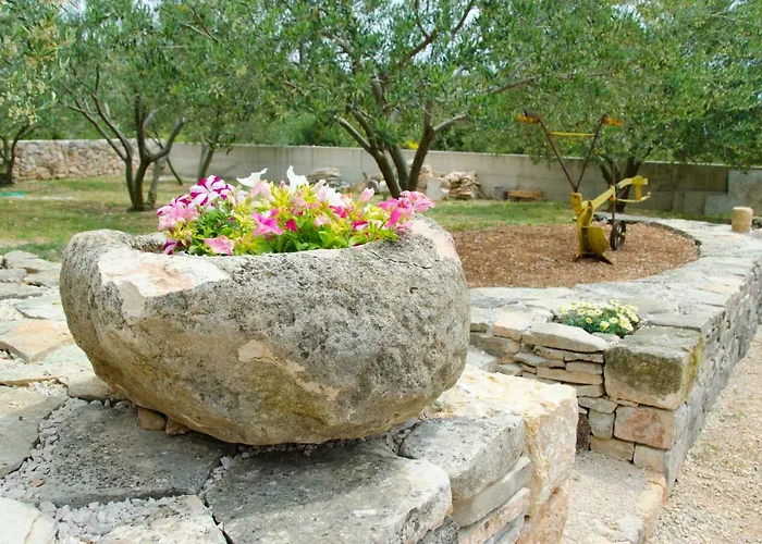 公寓 Filip 布罗达里卡